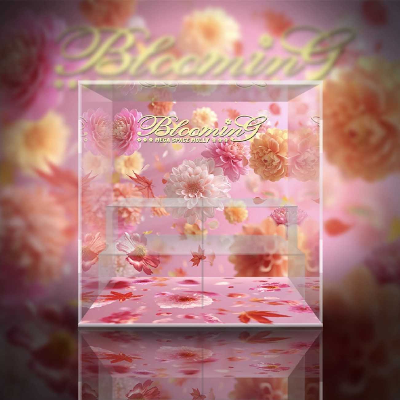 [AOWOBOX]  泡泡瑪特 Mega Space Molly 綻放 系列 盲盒展示盒