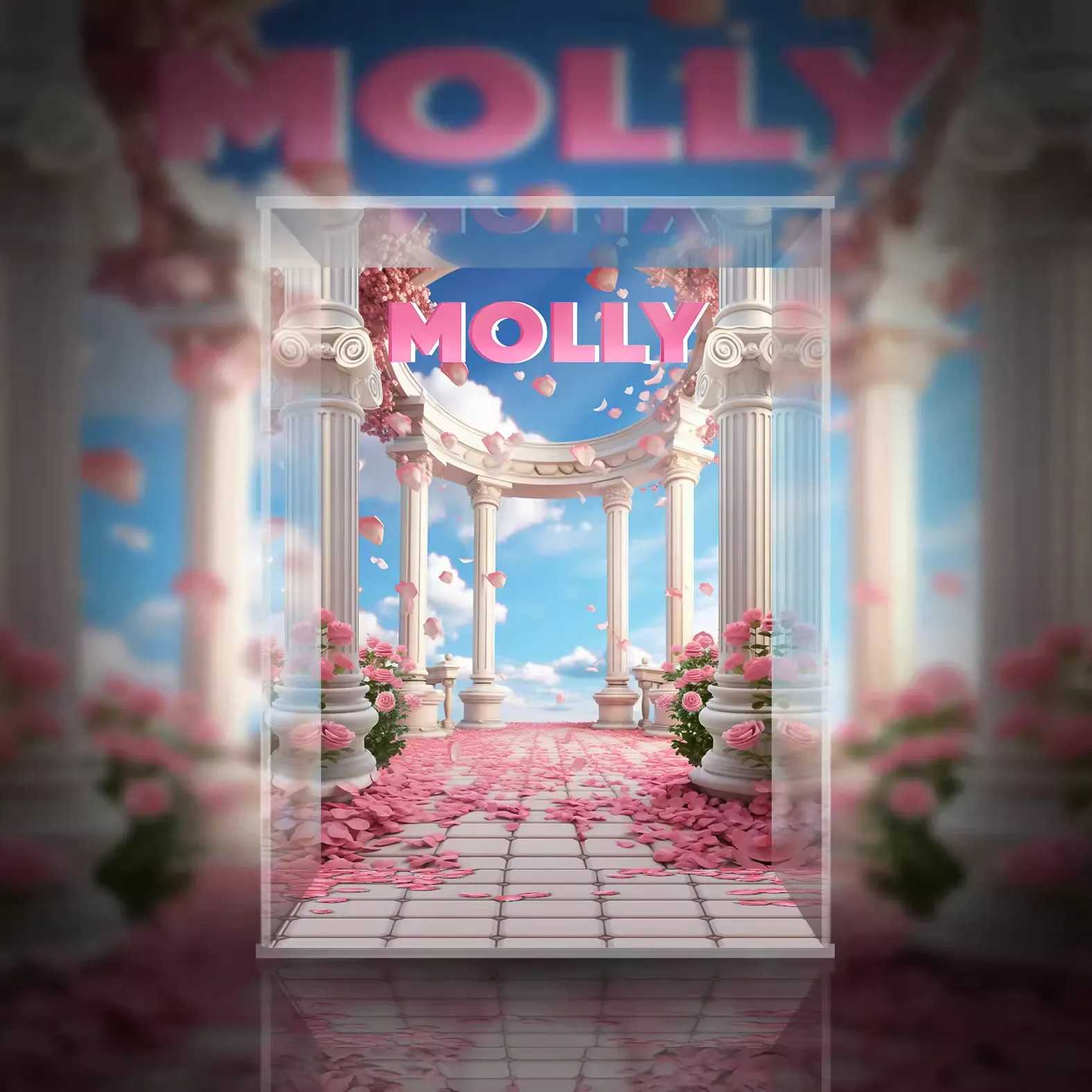 【AOWOBOX】Pop Mart 泡泡瑪特 MOLLY 蛻變天鵝 可動人偶 主題壓克力展示盒