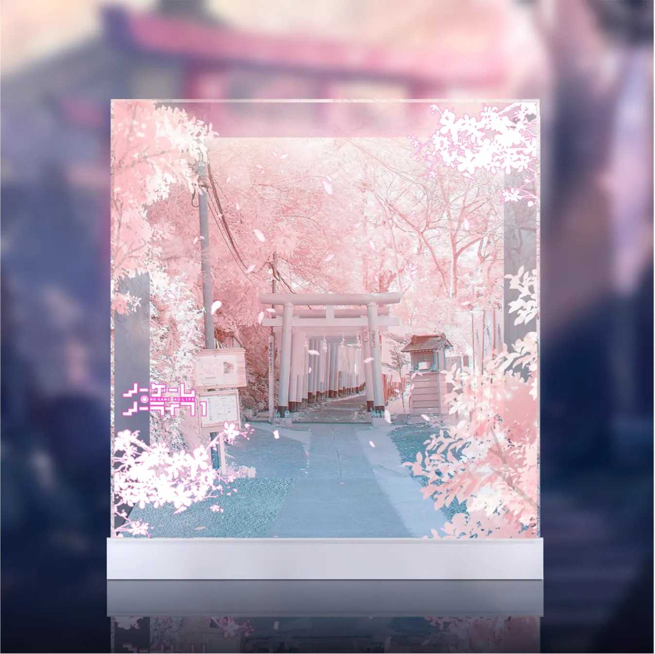 [AOWOBOX] FuRyu FNEX No Game No Life 遊戲人生 白 白無垢 公仔主題展示盒