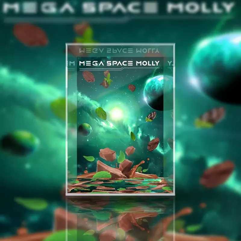 【AOWOBOX】Pop Mart 泡泡瑪特 MEGA SPACE MOLLY 400% 薄荷巧克力 公仔專屬展示盒