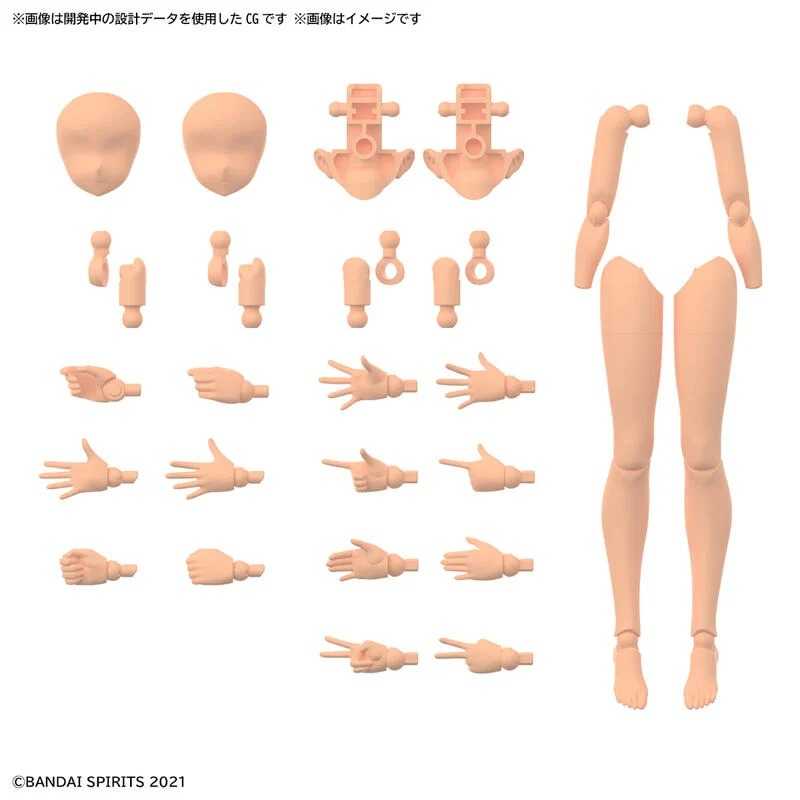 賈克魔玩具 現貨 萬代 BANDAI 30MS 身體配件套組 手＆腳 [顏色C] 5063943