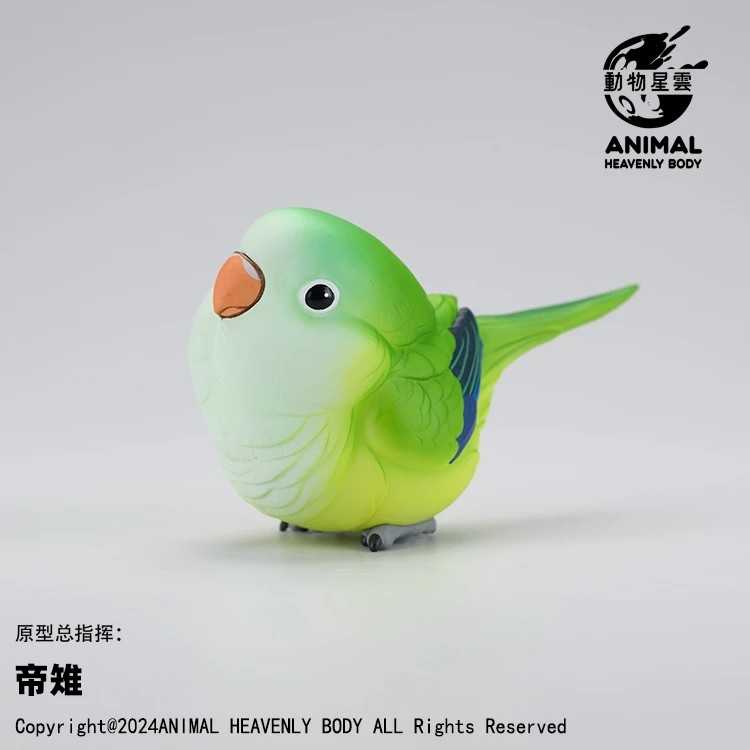 【冷門玩具】📣現貨盲盒📣 動物星雲 心寬體胖系列 鸚鵡篇  一中盒6入