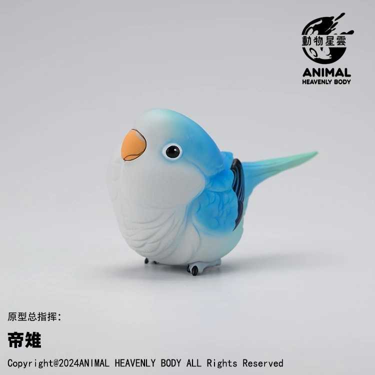 【冷門玩具】📣現貨盲盒📣 動物星雲 心寬體胖系列 鸚鵡篇  一中盒6入