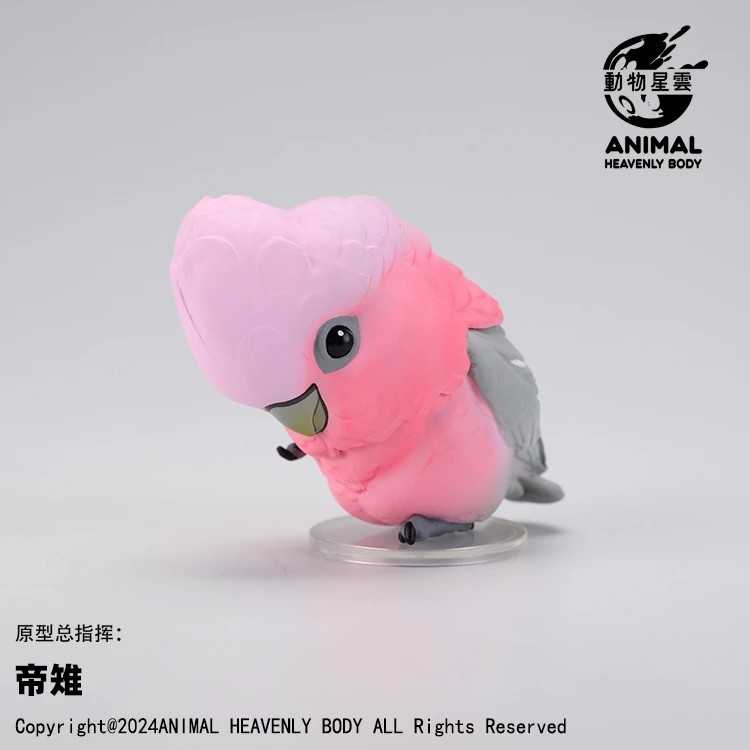 【冷門玩具】📣現貨盲盒📣 動物星雲 心寬體胖系列 鸚鵡篇  一中盒6入