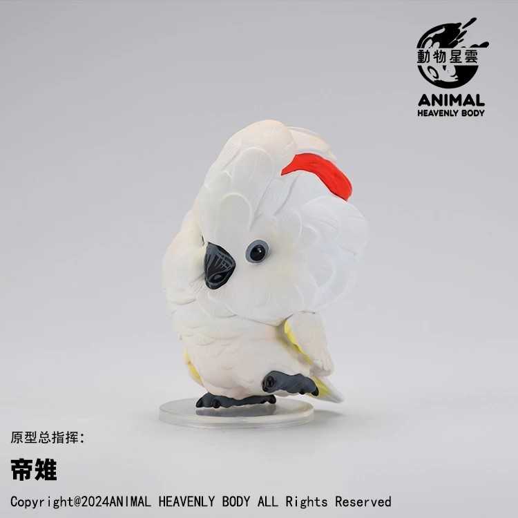 【冷門玩具】📣現貨盲盒📣 動物星雲 心寬體胖系列 鸚鵡篇  一中盒6入