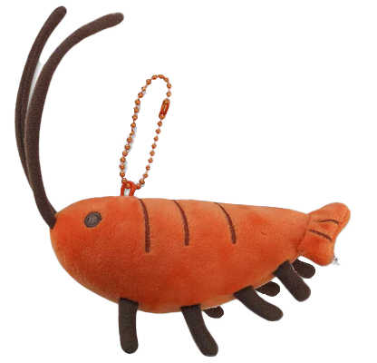 123Gawr Gura 蝦蝦娃娃