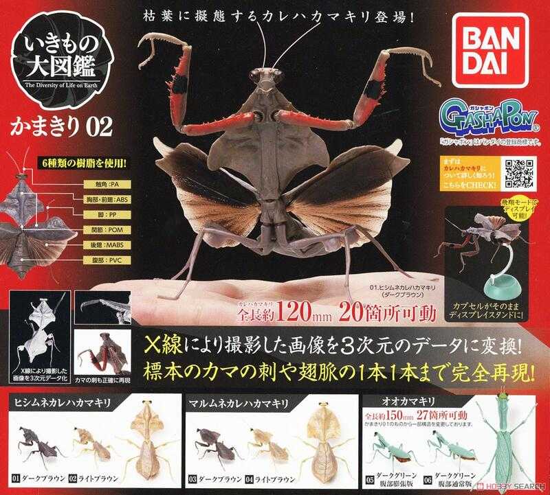 Beau特佛toys 現貨 萬代 扭蛋 BANDAI 轉蛋 生物大圖鑑 螳螂2 0707