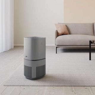 (全新) Electrolux | 500UV抗敏清淨機EP53-48 (共2色)