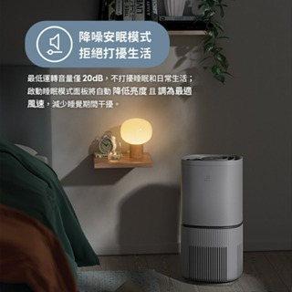 (全新) Electrolux | 500UV抗敏清淨機EP53-48 (共2色)