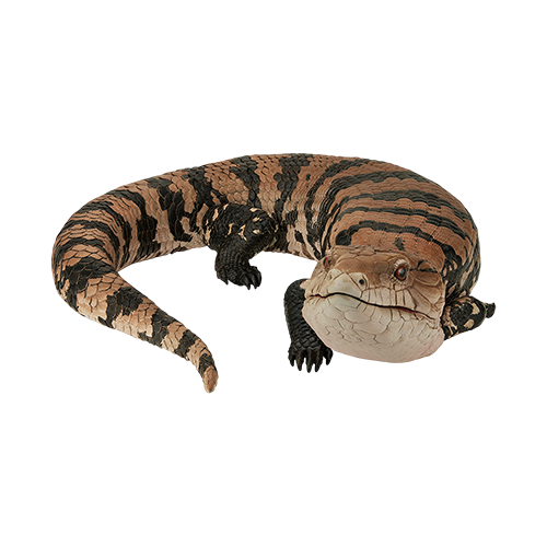 【一番賞線上抽】一番賞 爬蟲類＆兩棲類～Tiny Friends～vol.2 現貨