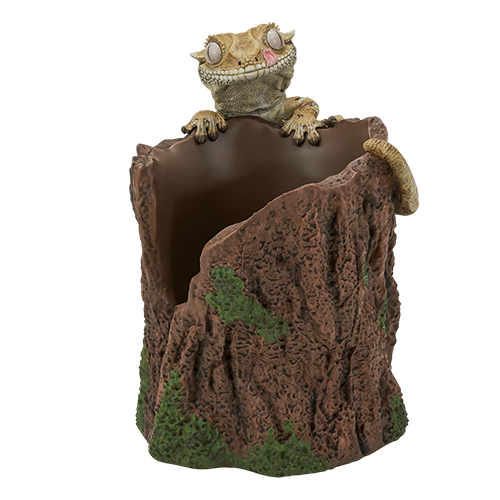 【一番賞線上抽】一番賞 爬蟲類＆兩棲類～Tiny Friends～vol.2 現貨