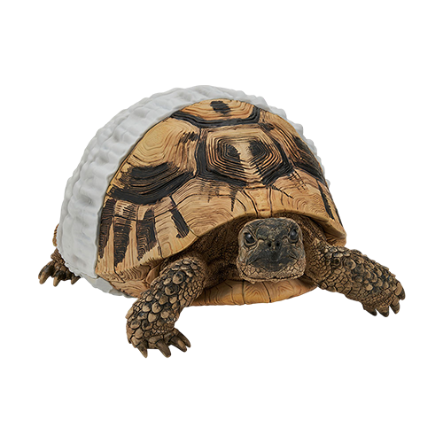 【一番賞線上抽】一番賞 爬蟲類＆兩棲類～Tiny Friends～vol.2 現貨