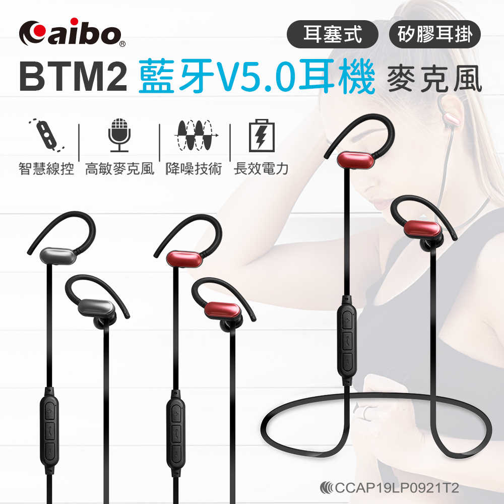aibo BTM2 耳掛/耳塞式 藍芽5.0運動耳機麥克風