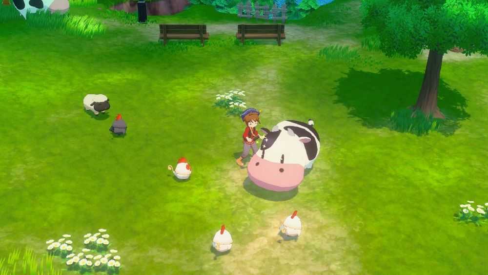 【FUN肆電玩】 牧場物語 歡迎來到風之市集《中文版》