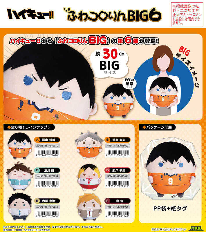 員林卡通⭐️【預購25年8月】ML 排球少年!! BIG 大型圓滾滾布偶 大胖娃 第6彈 分售 再版 0523