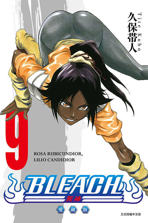 員林卡通⭐️【東立漫畫】BLEACH死神 愛藏版 1~12 作者：久保带人