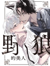 員林卡通⭐️【預購書籍】野狼的美人 全(書腰)(附典藏卡) /東立漫畫