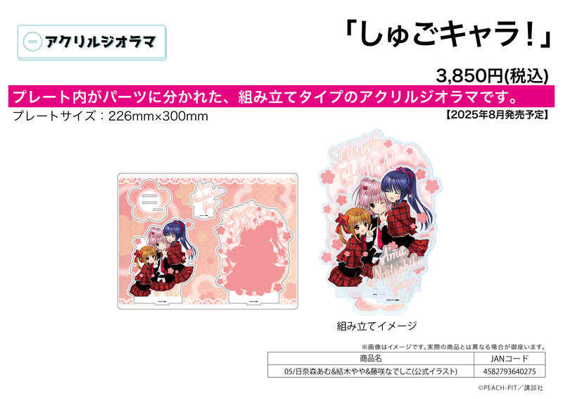 員林卡通⭐️【預購25年8月】A3 守護甜心! 豪華全景壓克力立牌 05 0623