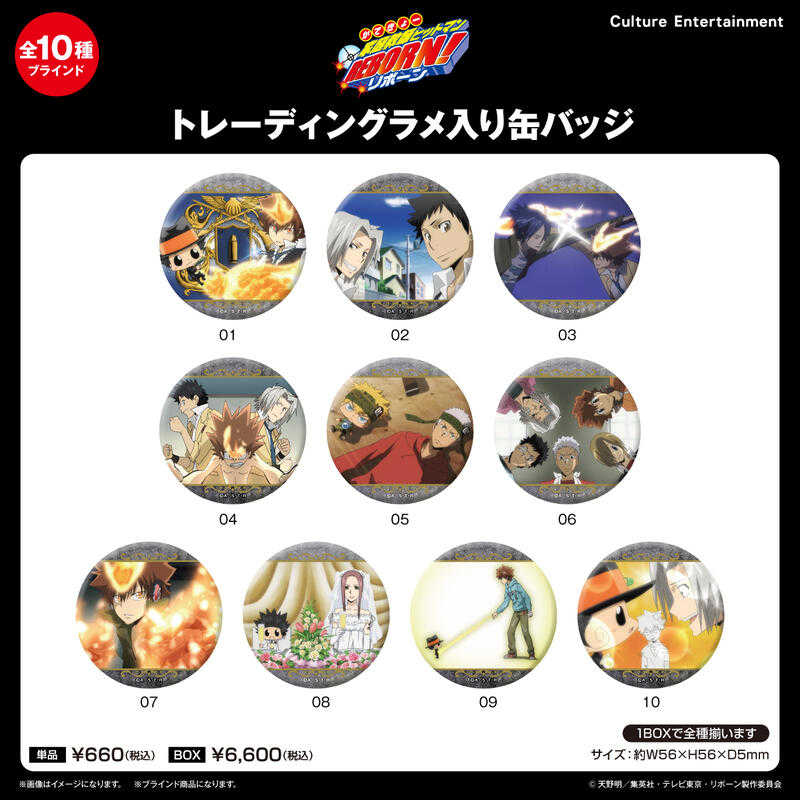 員林卡通⭐️【預購25年9月】Culture 家庭教師REBORN! 閃亮徽章集 中盒 0619