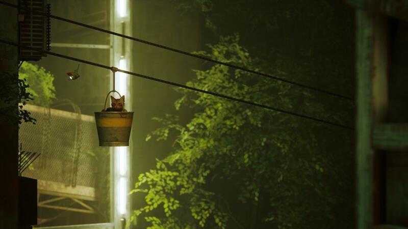 ●秋葉電玩●  PS4 PS5 浪貓 Stray 中英文版