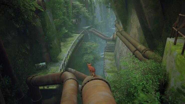 NS 浪貓 Stray 日版中文版 第三人稱動作冒險遊戲 玩家扮演與家人失散且受傷的流浪貓，孤身闖蕩未知的城鎮