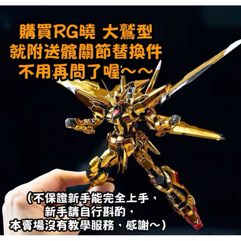 現貨免等 萬代🇯🇵版 RG曉 RG拂曉 RG 1/144 電鍍發色 SEED FREEDOM 曉鋼彈 拂曉 大鷲裝