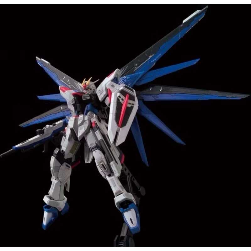 現貨 萬代 PB魂限 RG 自由鋼彈 Ver.GCP 上海限定 2.0 ZGMF-X10A FREEDOM