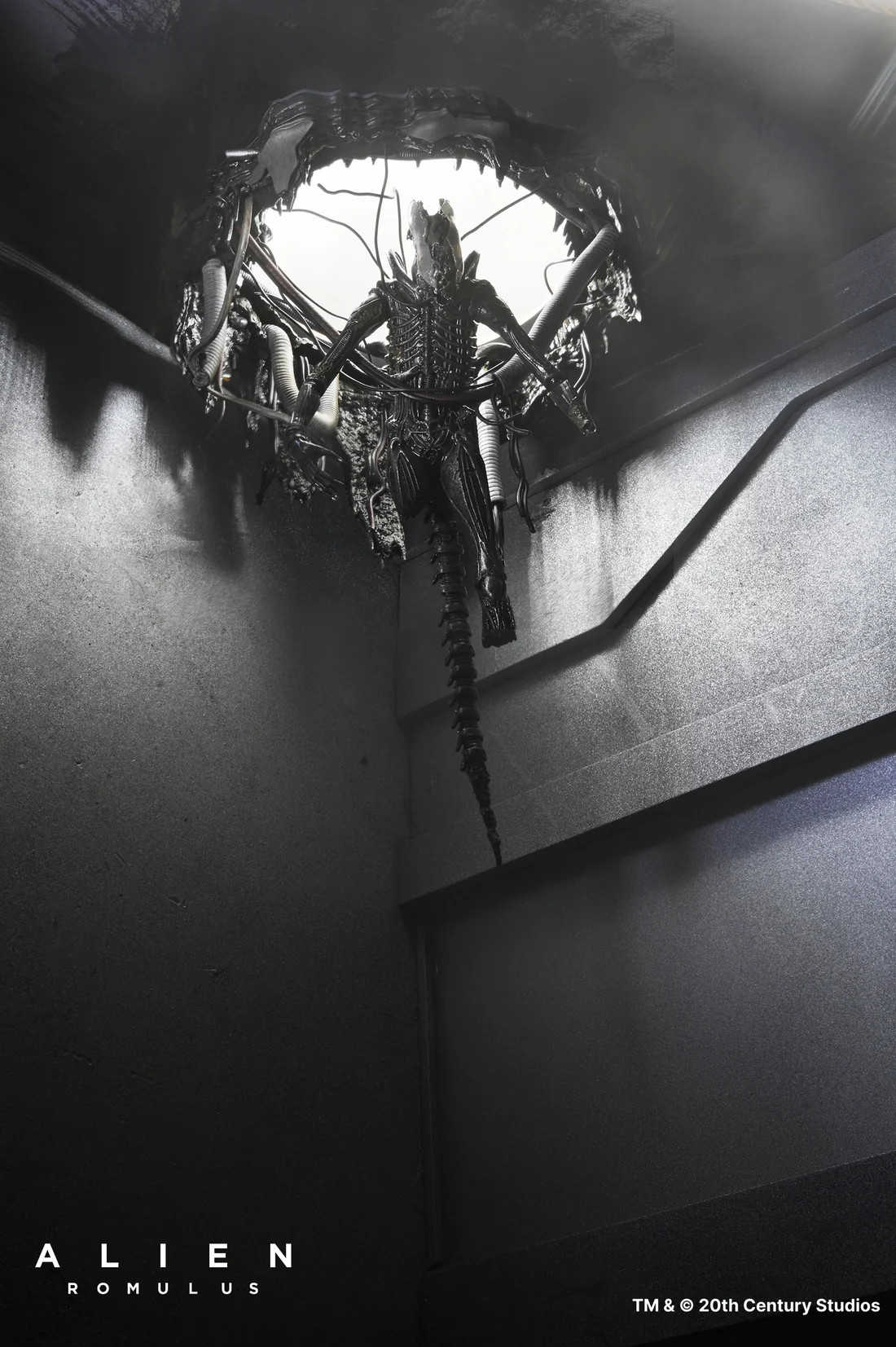 參號倉庫 # 預購 第3-4季 NECA 異形 羅穆路斯 Xenomorph XX121 實驗室懸吊 豪華版 7吋 可動