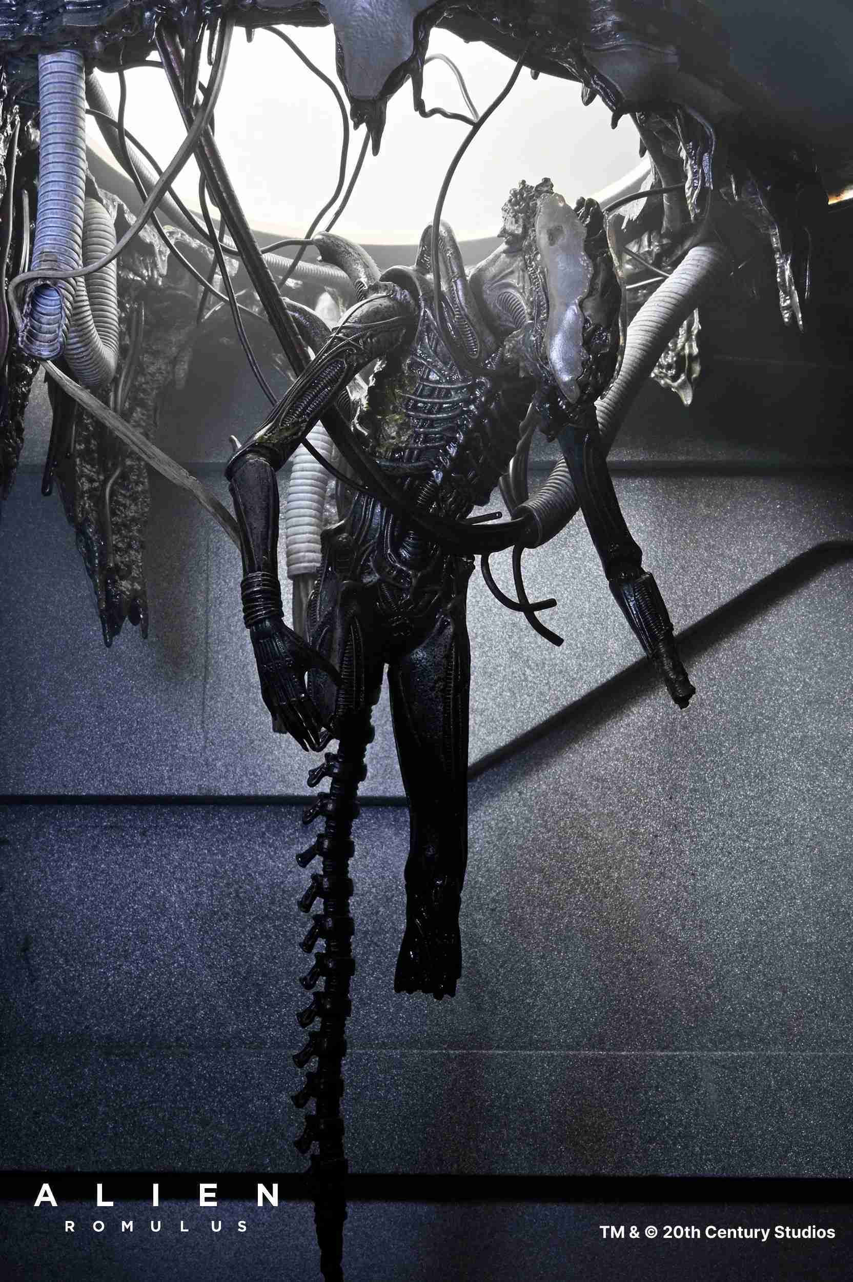 參號倉庫 # 預購 第3-4季 NECA 異形 羅穆路斯 Xenomorph XX121 實驗室懸吊 豪華版 7吋 可動