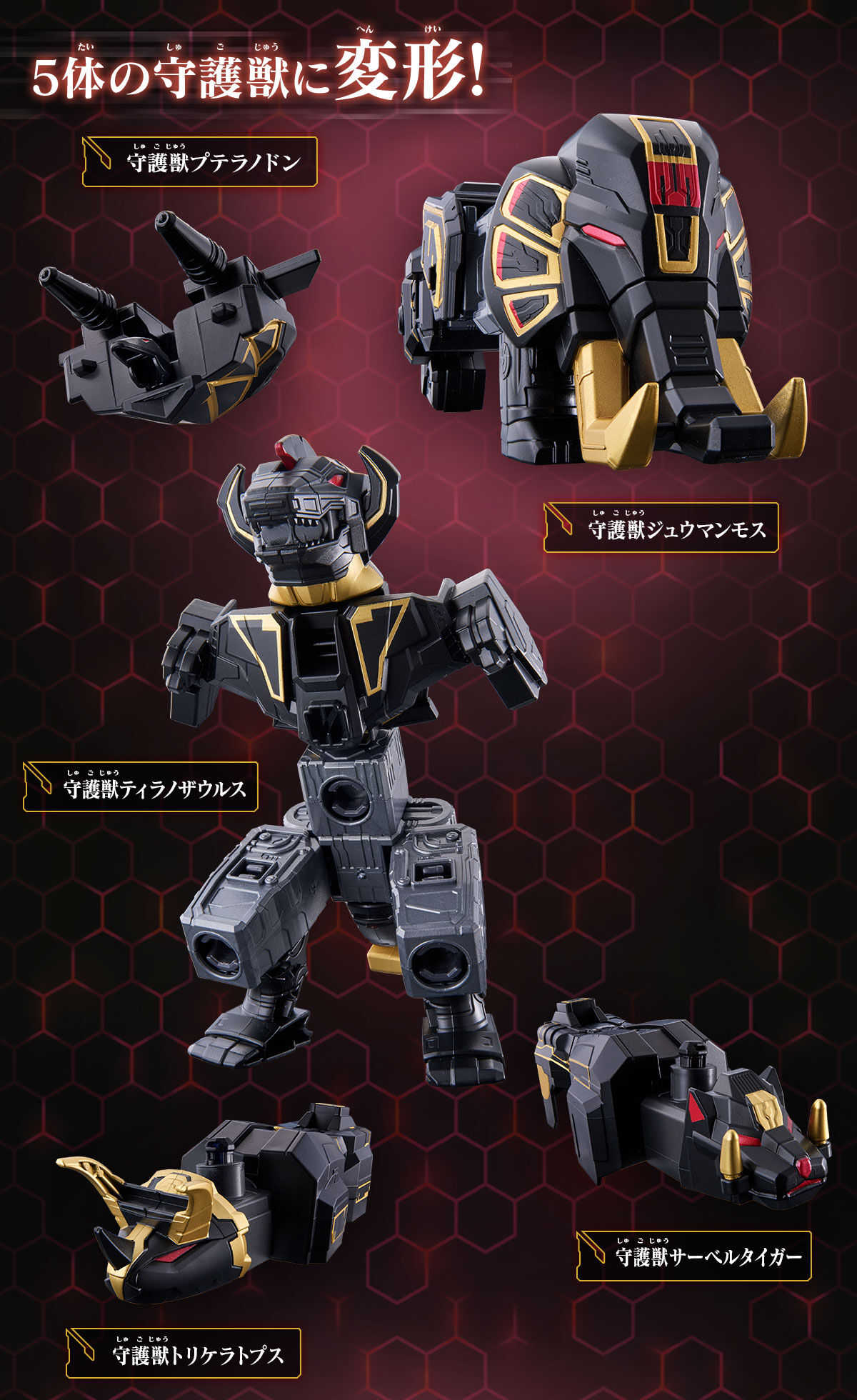 參號倉庫 預購 11月 PB限定 第一戰隊 豪獸者 NO.1 DXROBO UNIVERSE 黑色 大獸神 恐龍戰隊