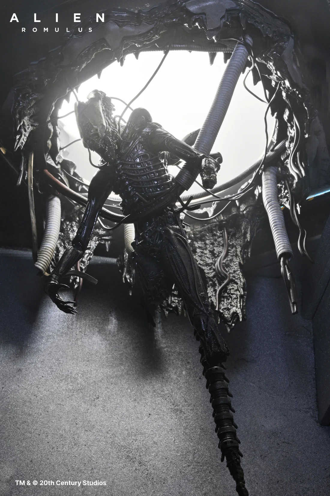 參號倉庫 # 預購 第3-4季 NECA 異形 羅穆路斯 Xenomorph XX121 實驗室懸吊 豪華版 7吋 可動