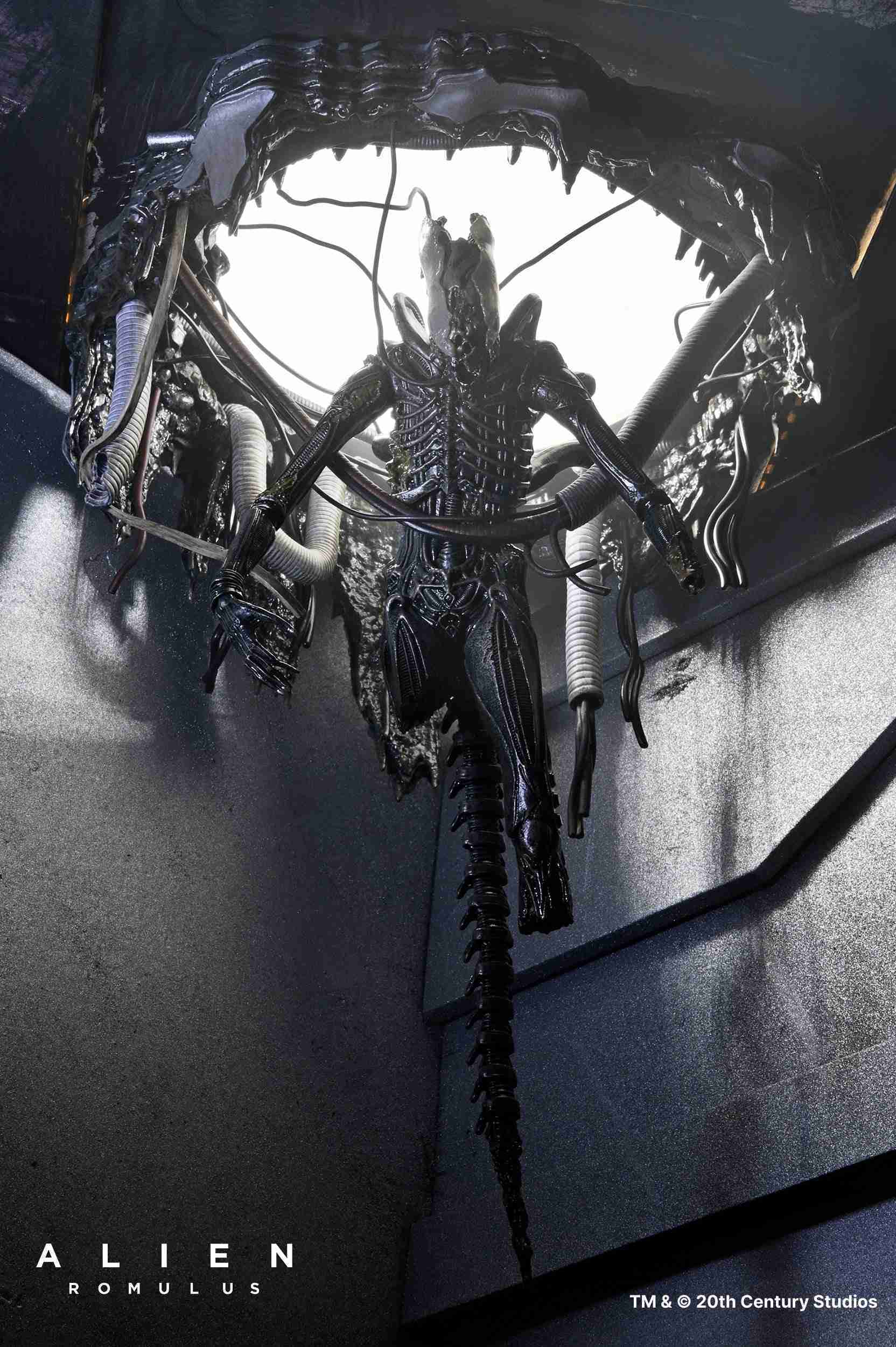 參號倉庫 # 預購 第3-4季 NECA 異形 羅穆路斯 Xenomorph XX121 實驗室懸吊 豪華版 7吋 可動
