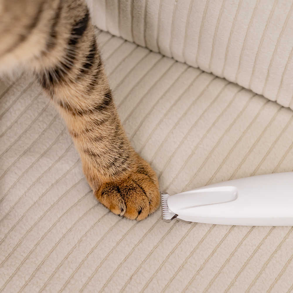 奧本寵物 迷你款腳底毛小電剪 ( 短毛貓適用 / 新手友善 )