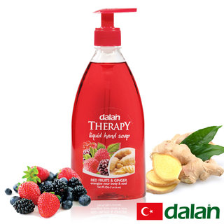 【土耳其dalan】綜合莓果&生薑健康洗手乳 400ml