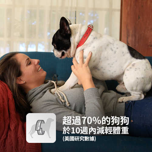 希爾思成犬/小型犬完美體重 (雞肉)4磅(效期2019.12.31)