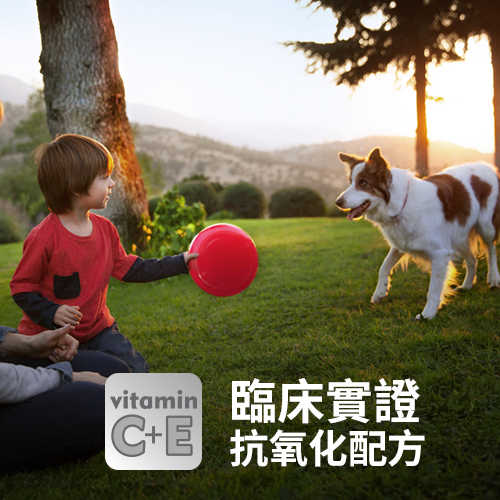 【Hill's希爾思】成犬 1-6歲 優質健康 (羊肉+米) 15KG (效期2019.5.31)