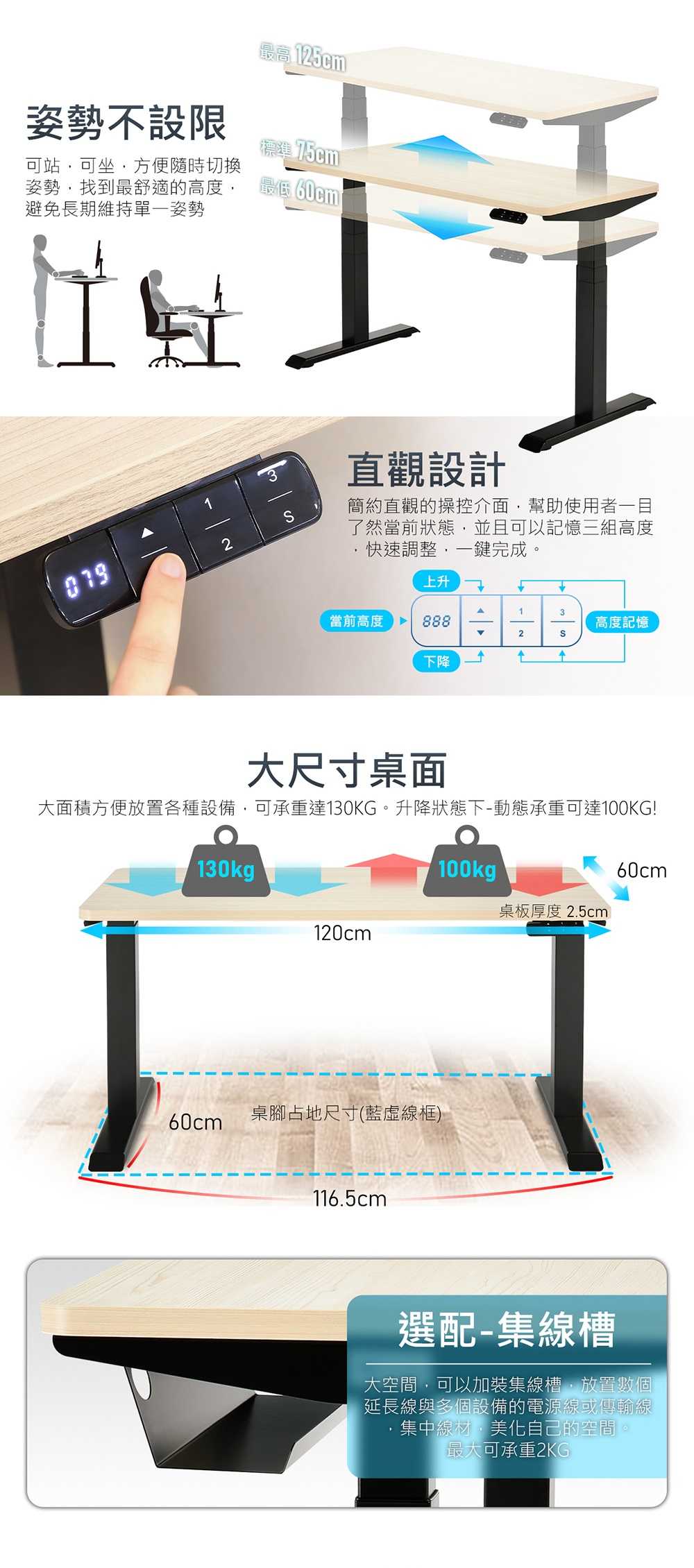 iRocks D01-SS 電動升降桌 120*60 北海道銀松 + 集線盒 [自行組裝+一般地區] [富廉網]